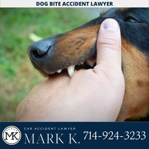 Dog Bite accident Lawyer